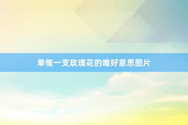 单惟一支玫瑰花的唯好意思图片