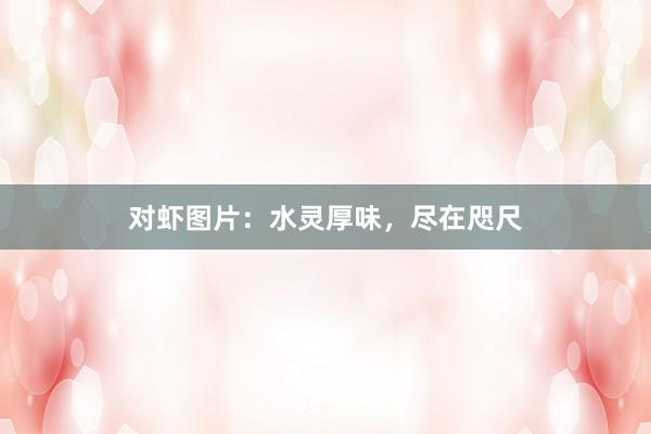 对虾图片：水灵厚味，尽在咫尺
