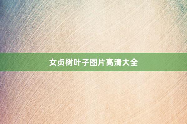 女贞树叶子图片高清大全